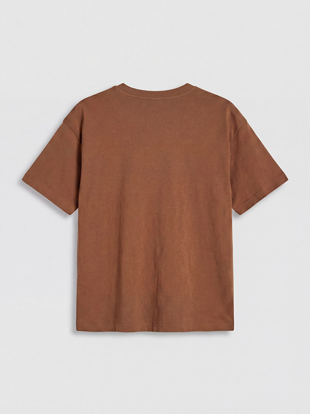 Kahverengi Dinozor Baskılı Erkek Çocuk Tişört ve Şort Takım-2