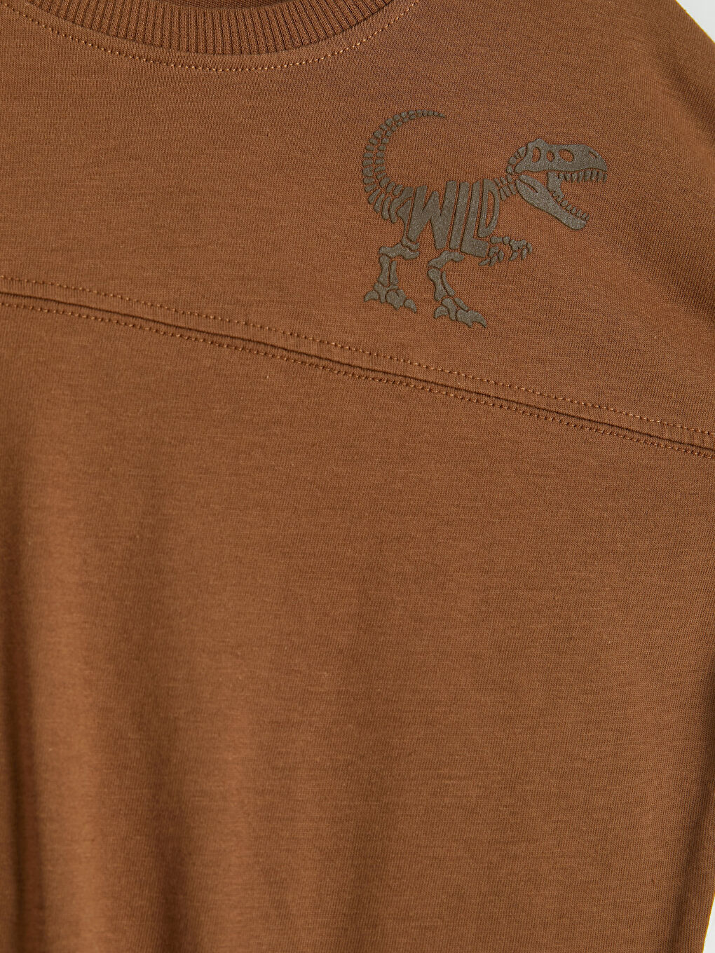 Kahverengi Dinozor Baskılı Erkek Çocuk Tişört ve Şort Takım-5
