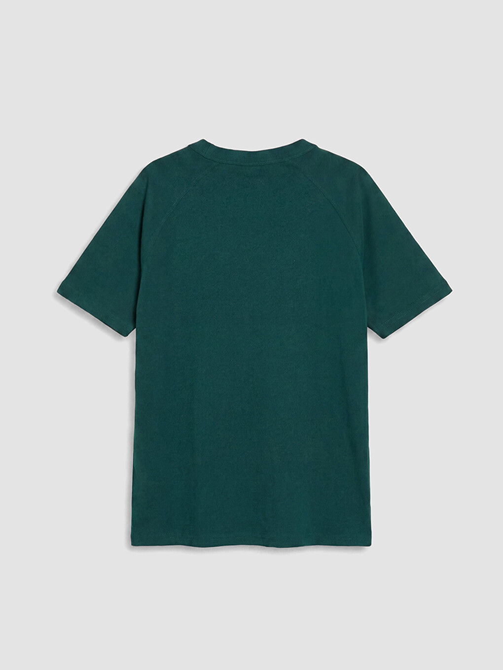 Crew Neck Printed Boys' T-Shirt-2