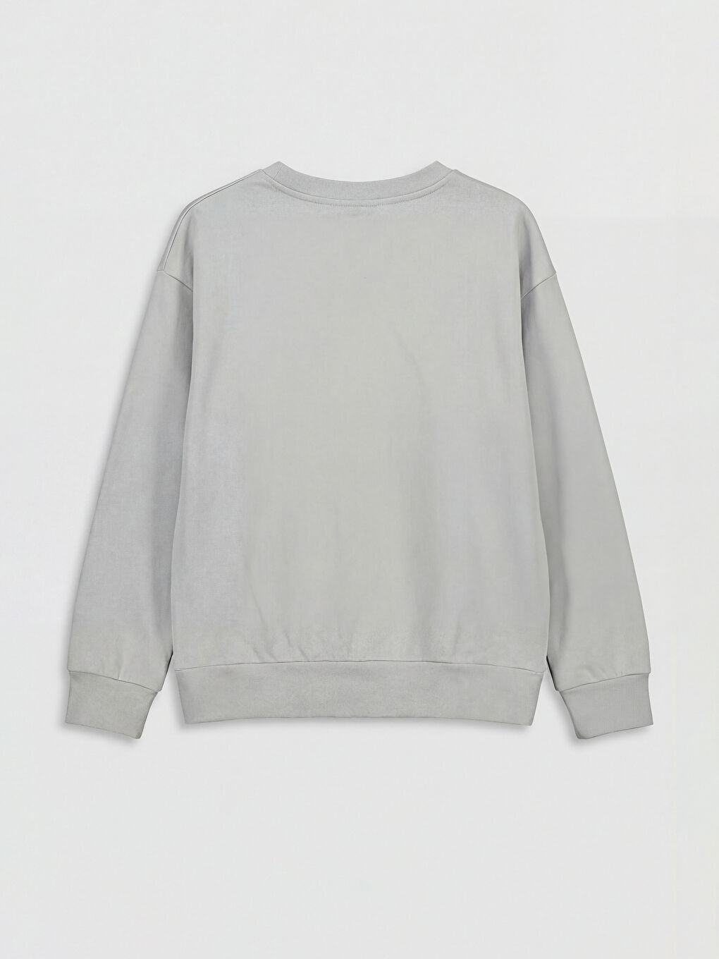 Crew Neck Printed Girls' Thick Sweatshirt-1