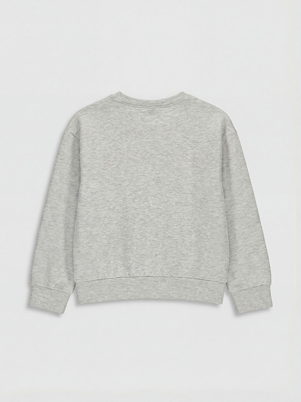 Crew Neck Printed Girls' Thick Sweatshirt-1