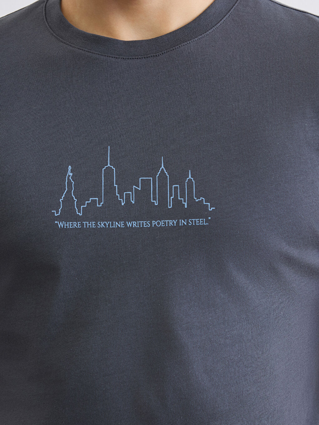 Antrasit Bisiklet Yaka Baskılı Penye Erkek Tişört-2