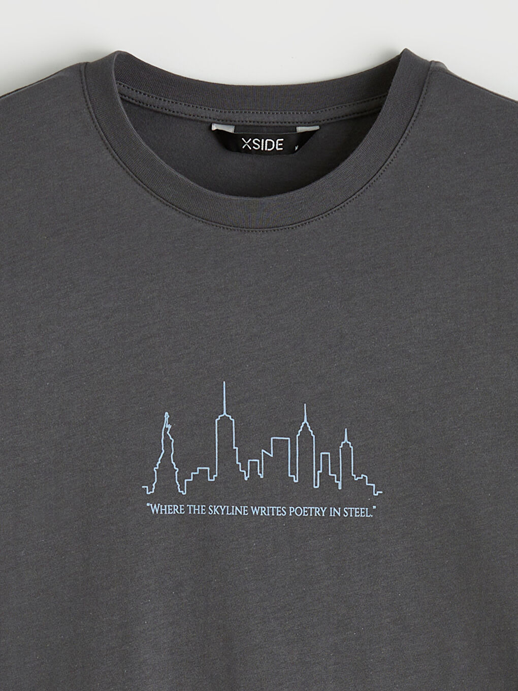 Antrasit Bisiklet Yaka Baskılı Penye Erkek Tişört-5