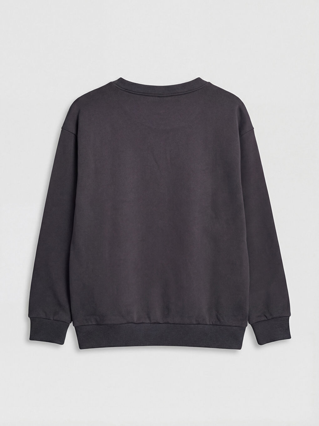 Crew Neck Printed Girls' Thick Sweatshirt-1