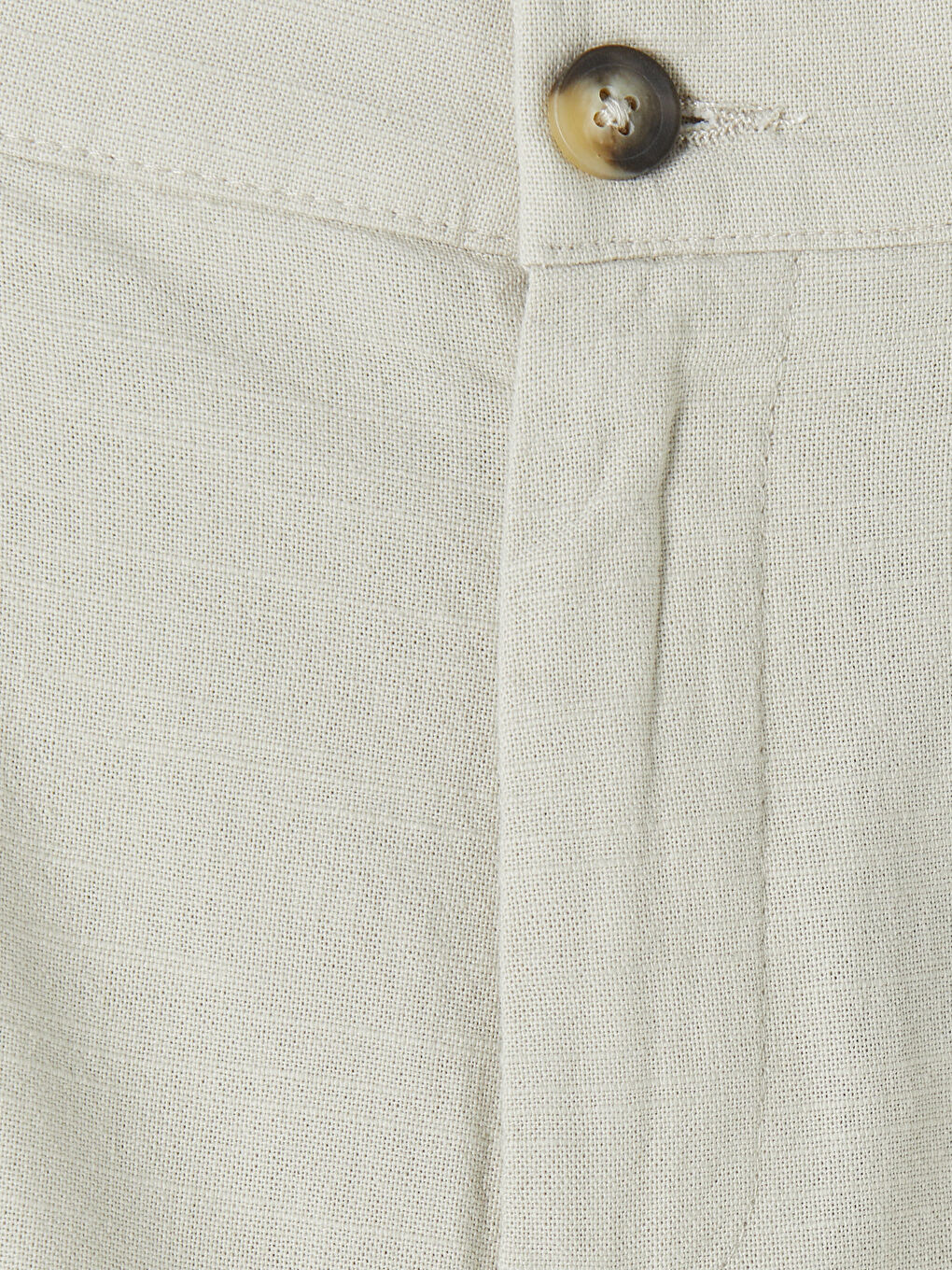 Bej Standart Kalıp Pileli Erkek Dokulu Pantolon-2