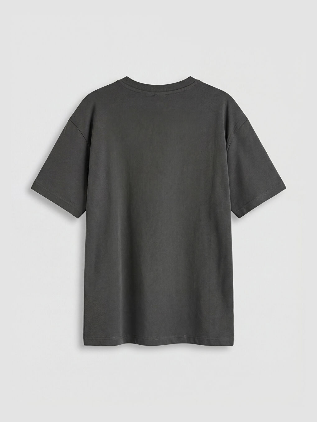 Gri  Aristocats Baskılı Kız Çocuk Tişört-1