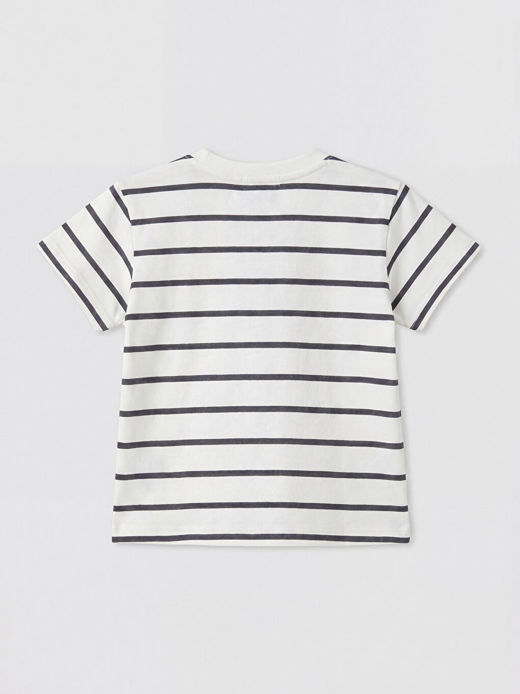 Antrasit NYC Baskılı Erkek Bebek Tişört ve Şort Takım-2