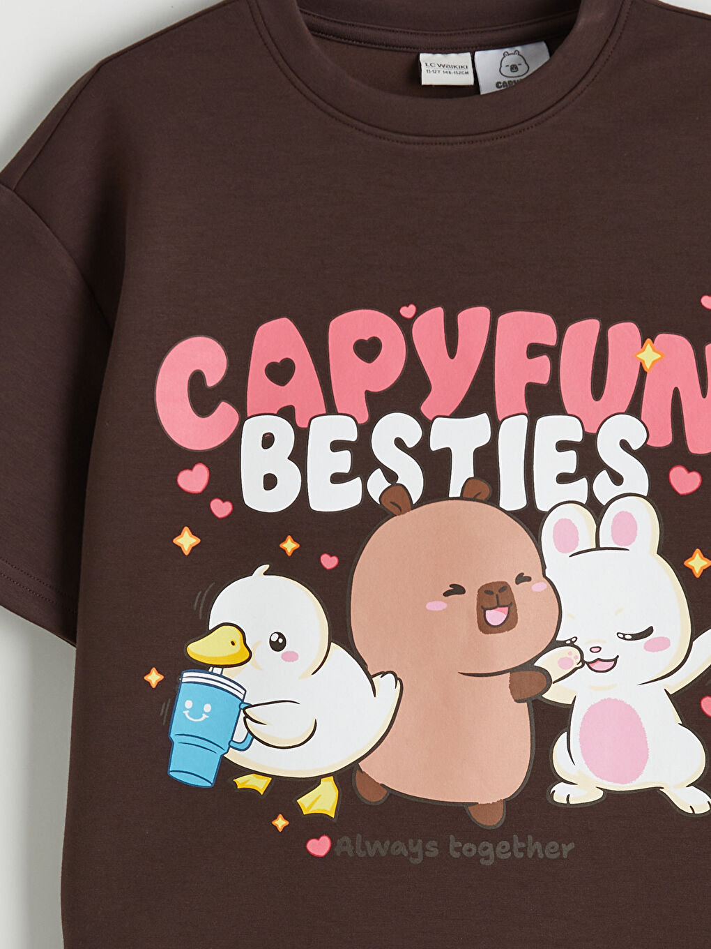 Kahverengi Capyfun Baskılı Kız Çocuk Soft Touch Tişört-2