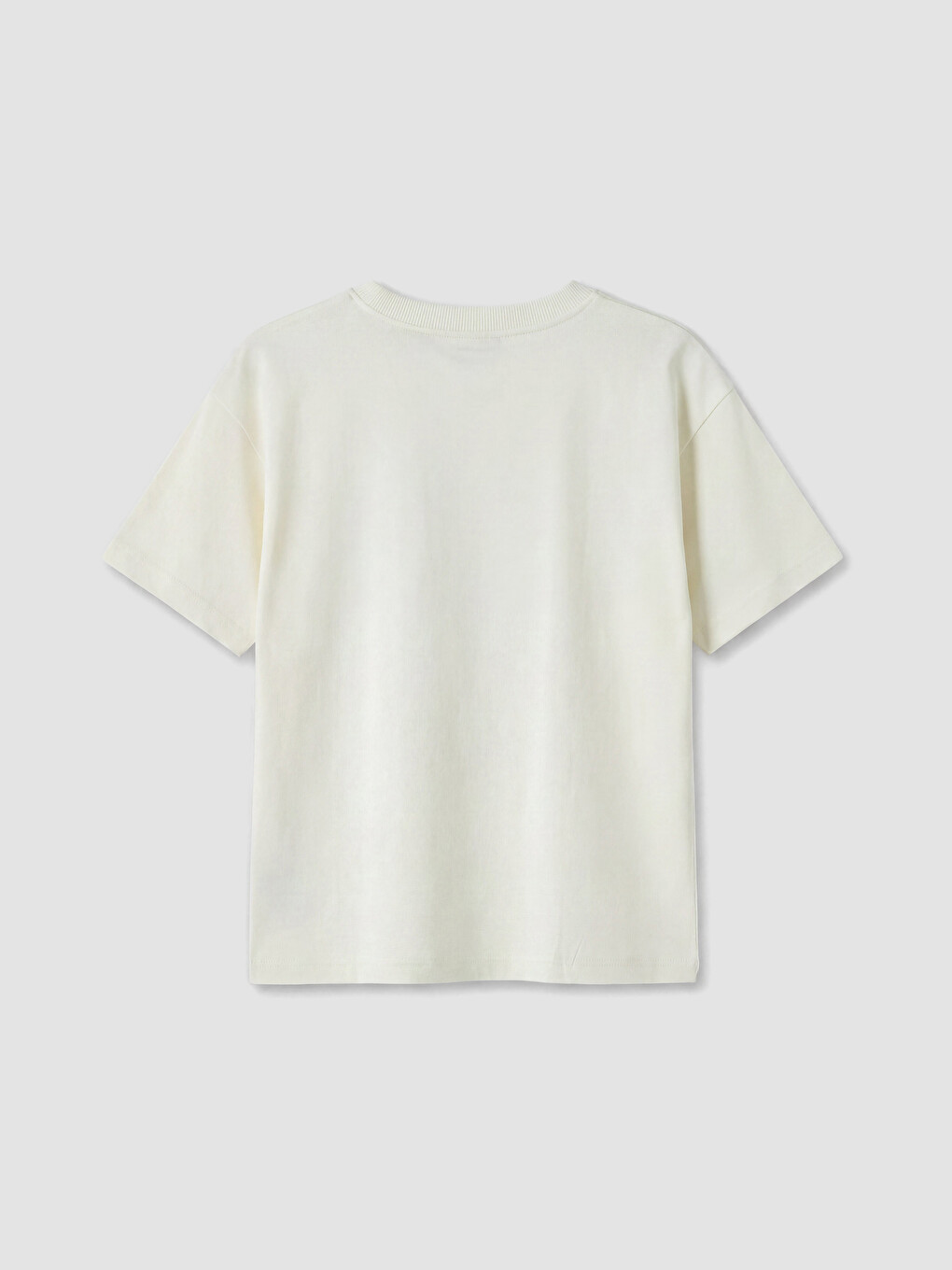 Tricou imprimat cu guler rotund pentru băieți-2
