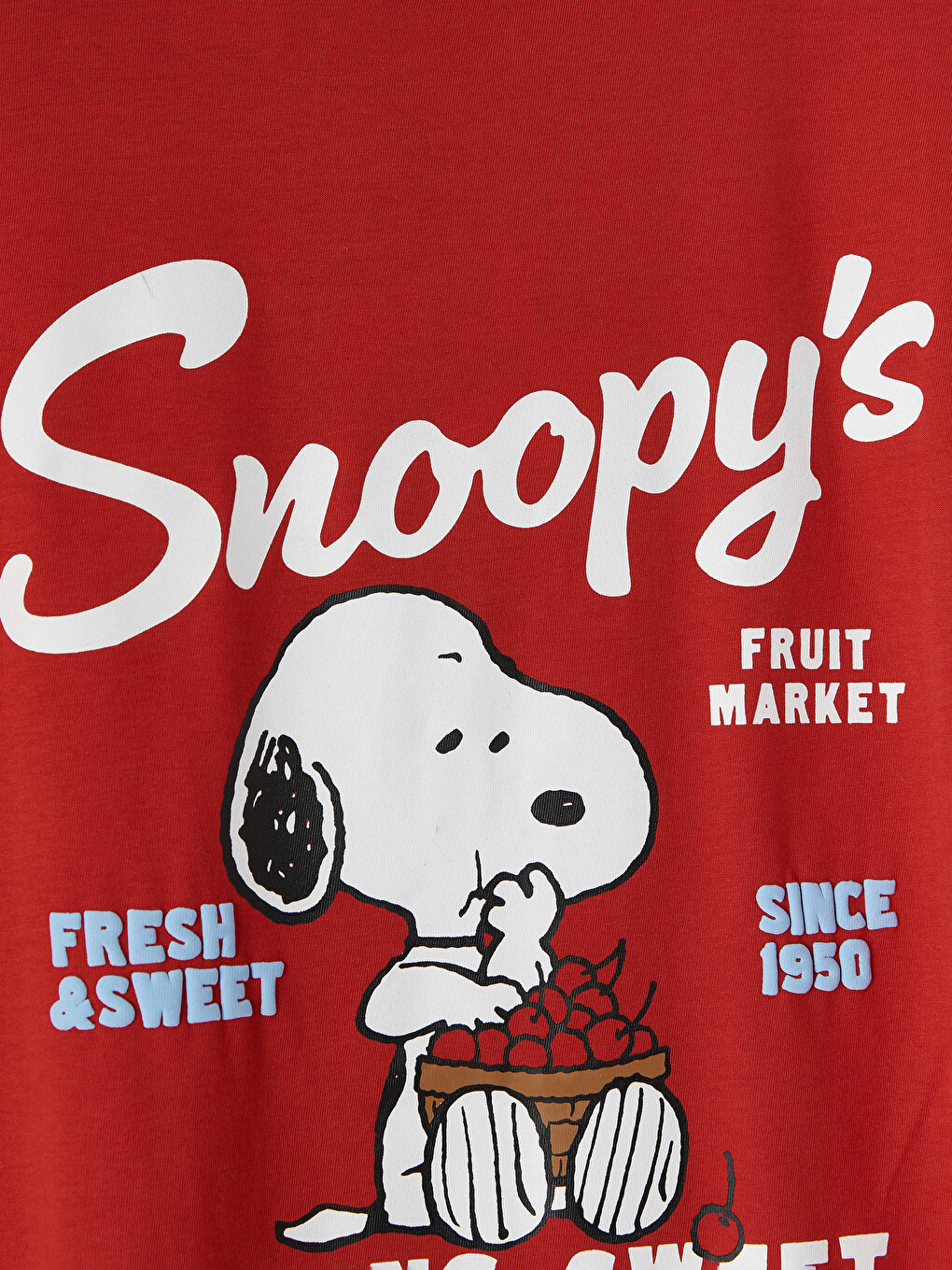 Crew Neck Snoopy Printed Women's T-Shirt-5