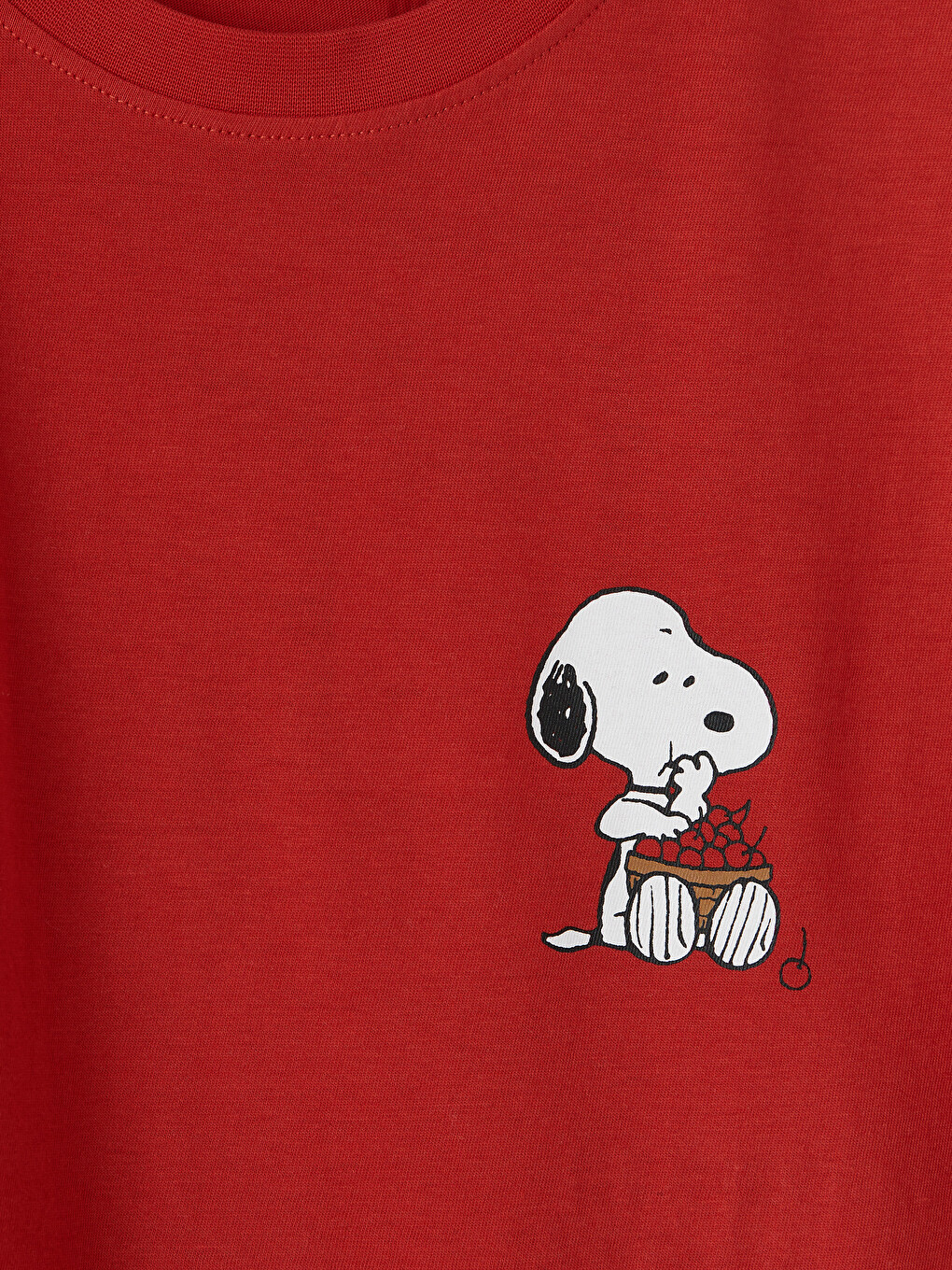 Crew Neck Snoopy Printed Women's T-Shirt-6