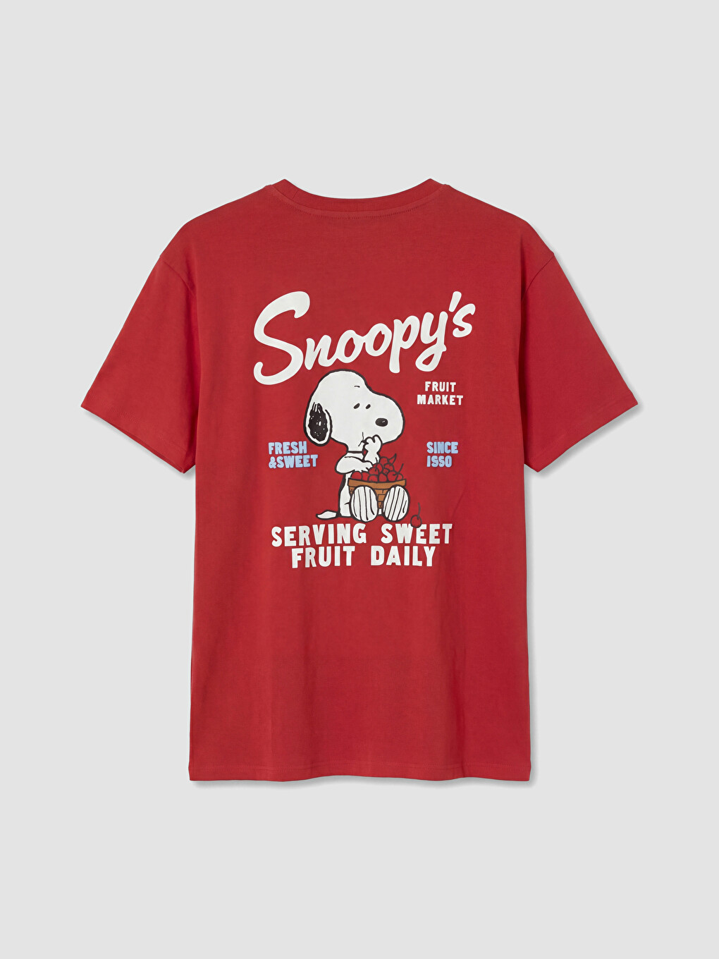 Crew Neck Snoopy Printed Women's T-Shirt-7
