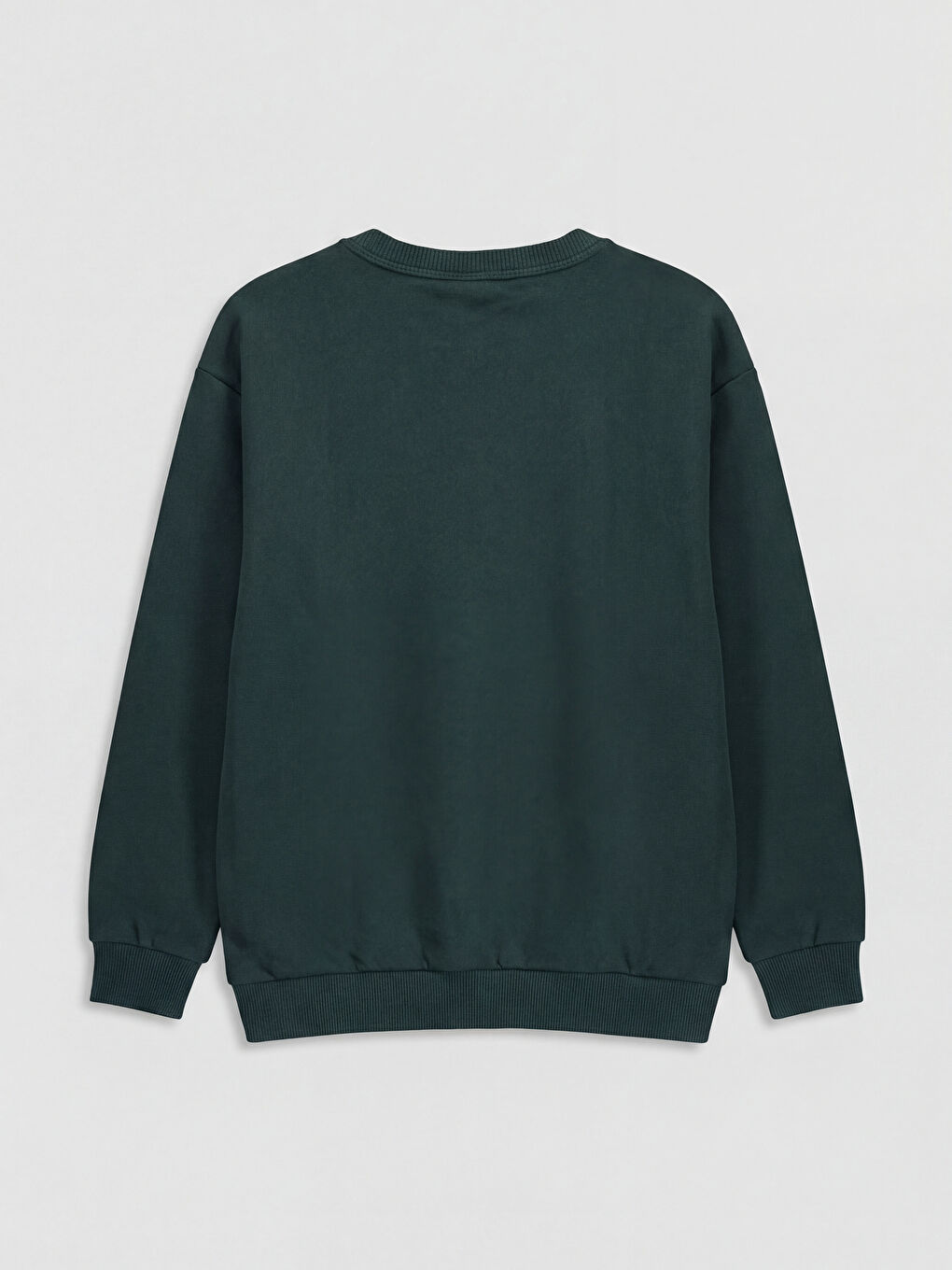 Crew Neck Boston Printed Boys' Thick Sweatshirt-1