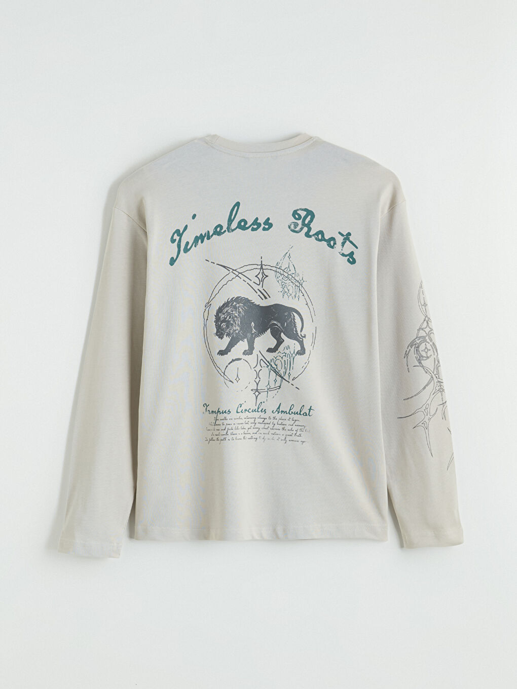 Gri Baskılı Bisiklet Yaka Erkek Sweatshirt-3