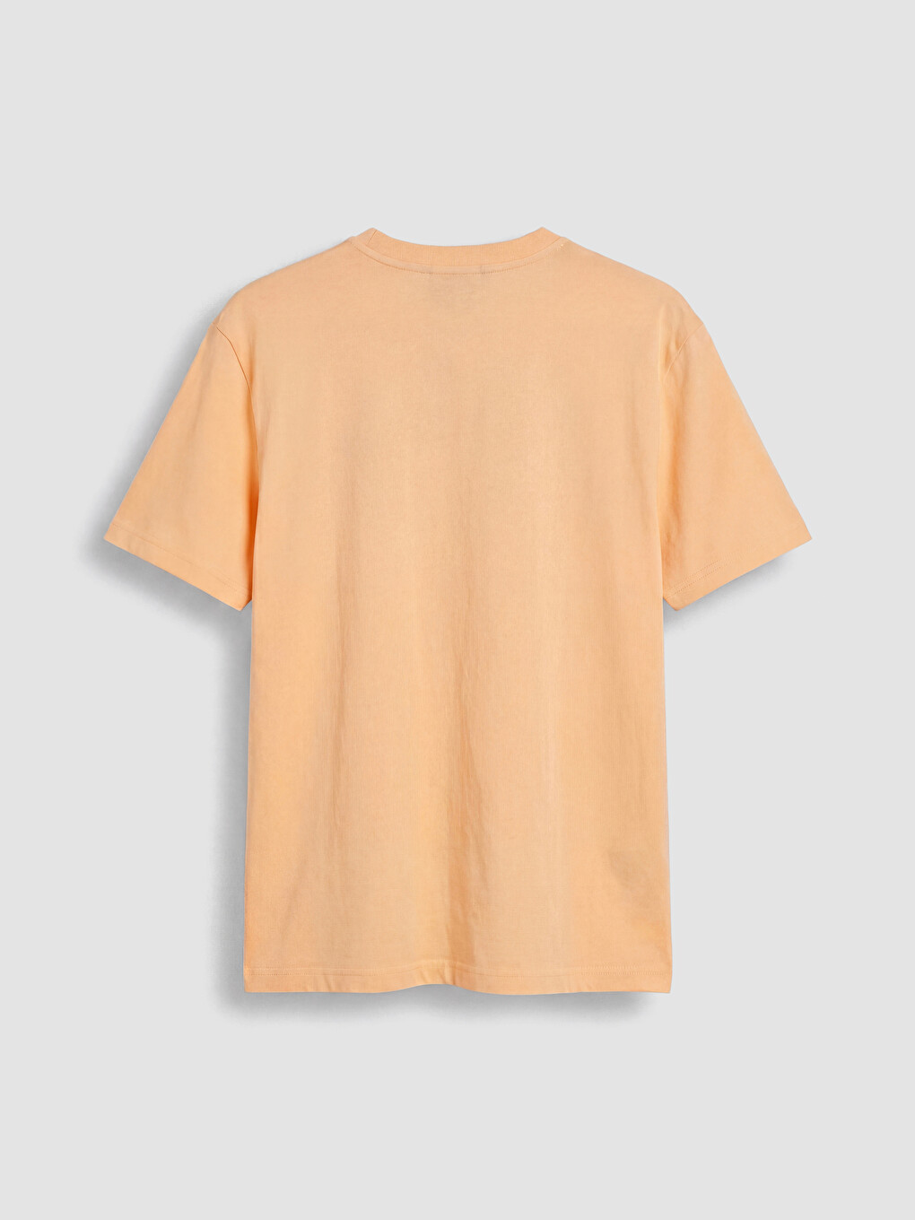 Relaxed Fit Crew Neck Embroidered Men's T-shirt-6