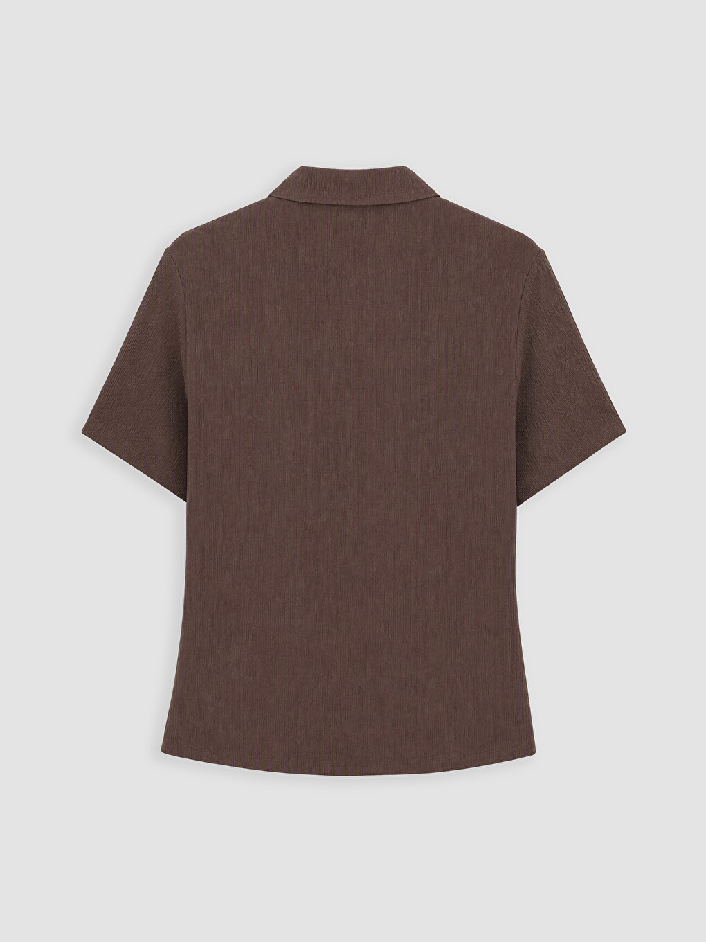 Woman Brown Shirt-2