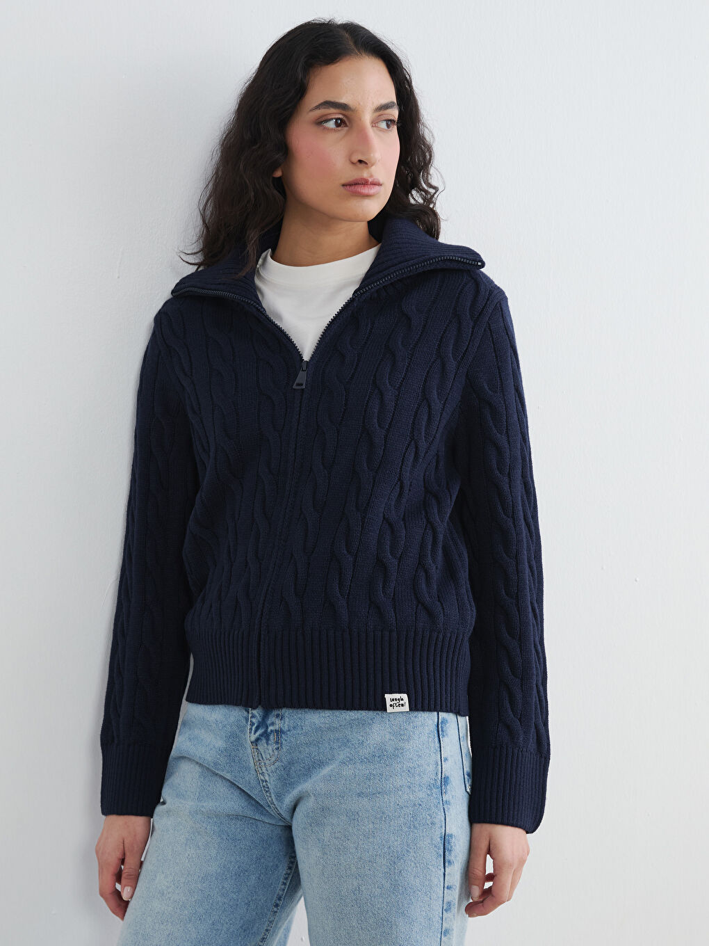 Lacivert Dik Yaka Kendinden Desenli Kadın Triko Hırka