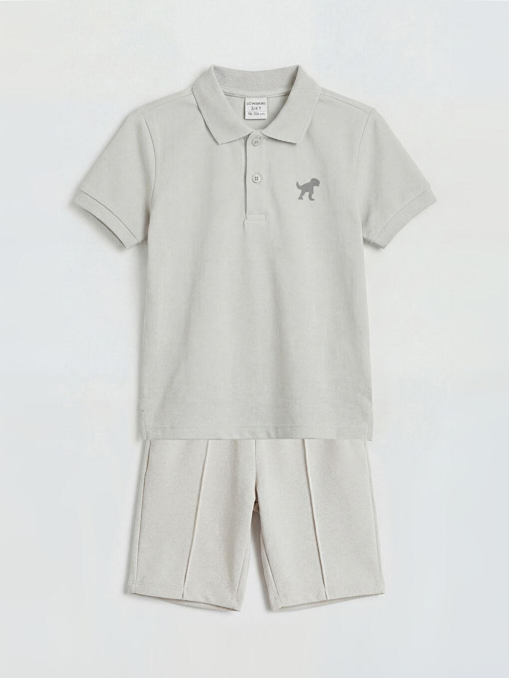 Gri Dinozor Baskılı Erkek Çocuk Tişört ve Şort