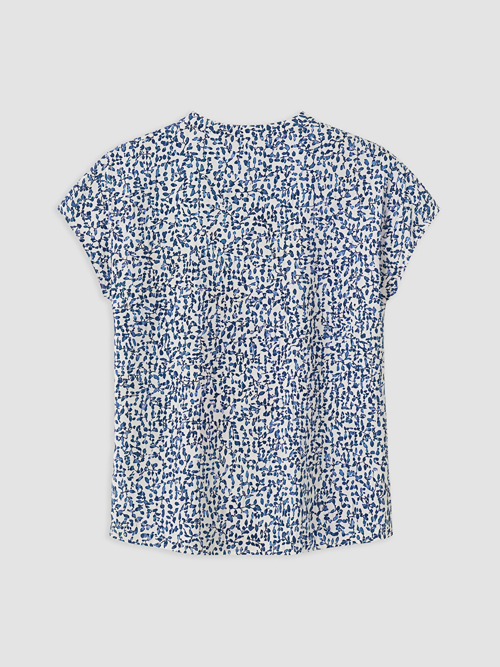 Woman Blue Blouse-1