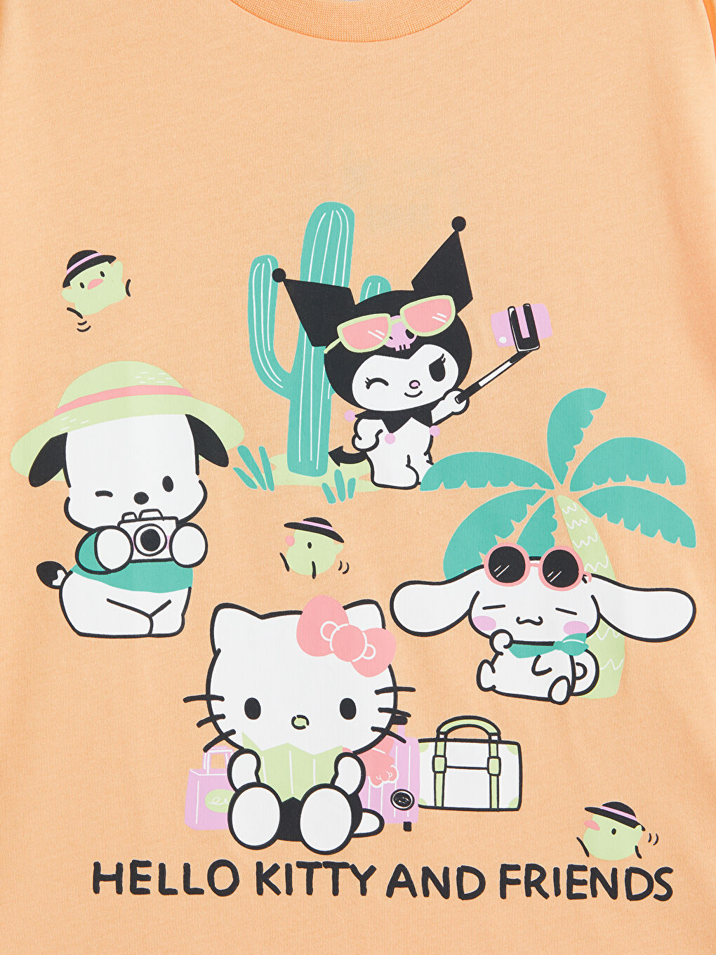 Crew Neck Hello Kitty Printed Girls' T-Shirt-2