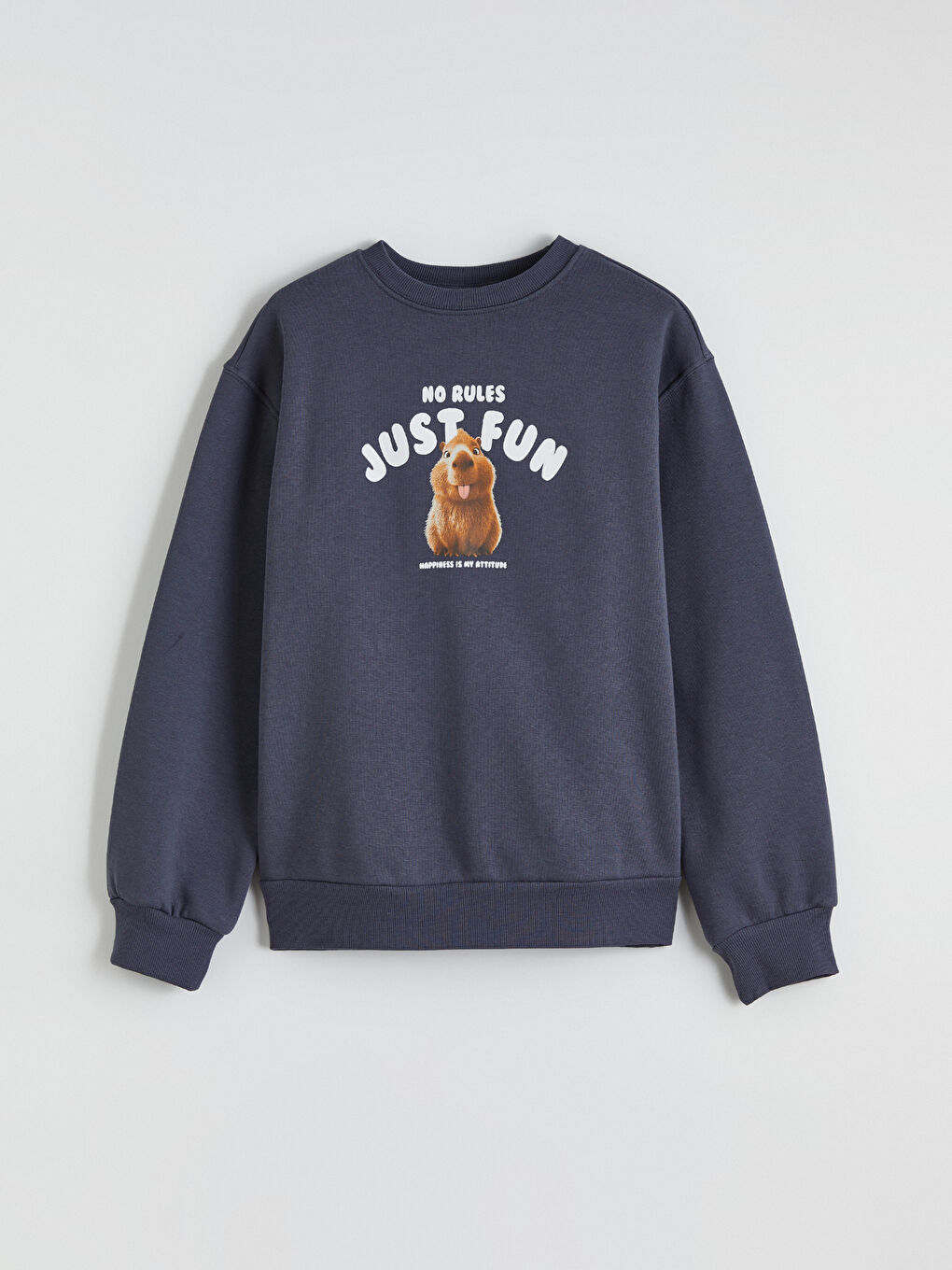 Antrasit Baskılı Kız Çocuk Kalın Sweatshirt
