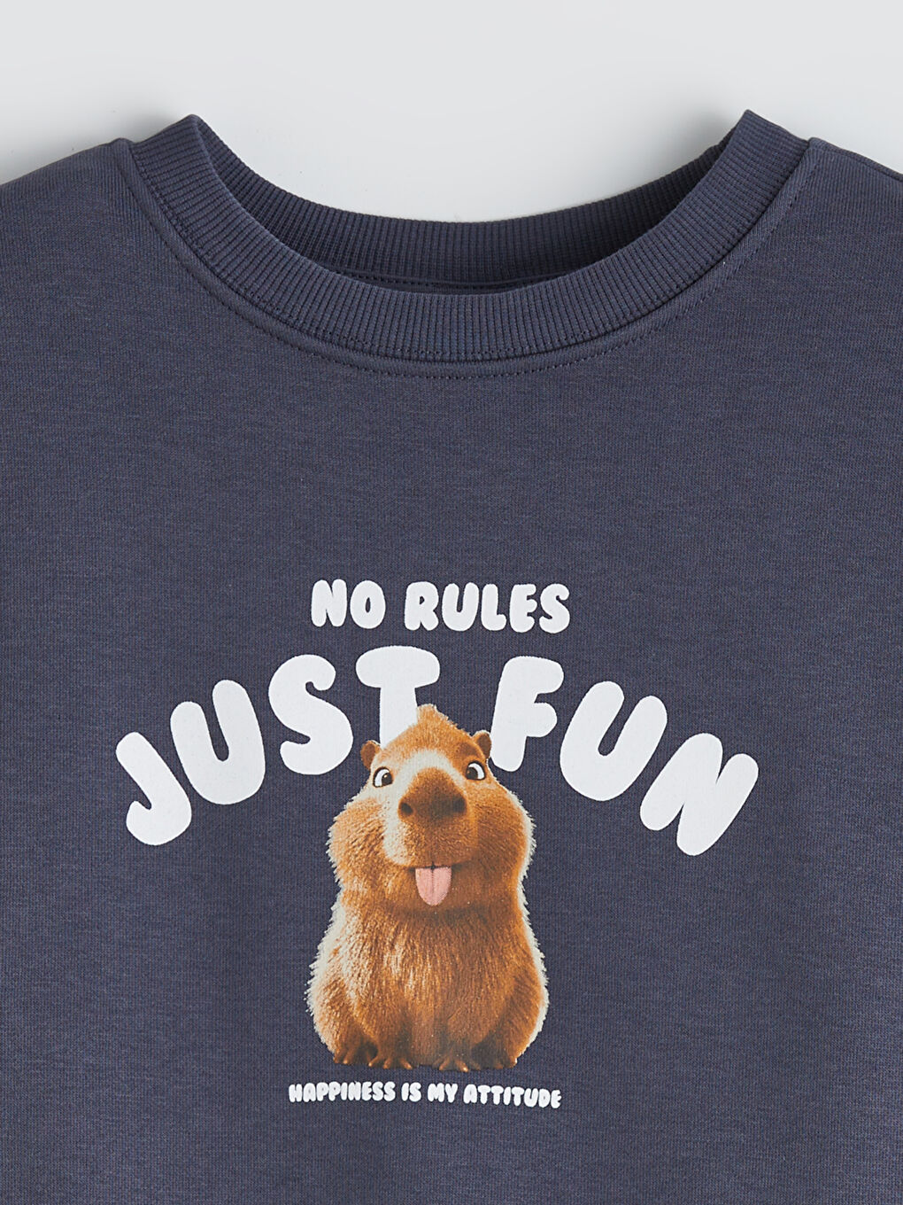 Antrasit Baskılı Kız Çocuk Kalın Sweatshirt-2