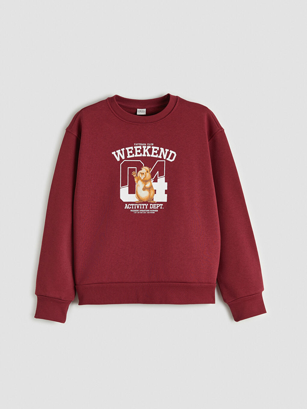 Bordo Baskılı Kız Çocuk Kalın Sweatshirt