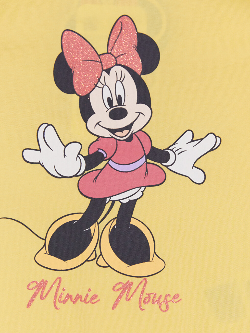 Minnie Mouse Printed Girls' Set-2