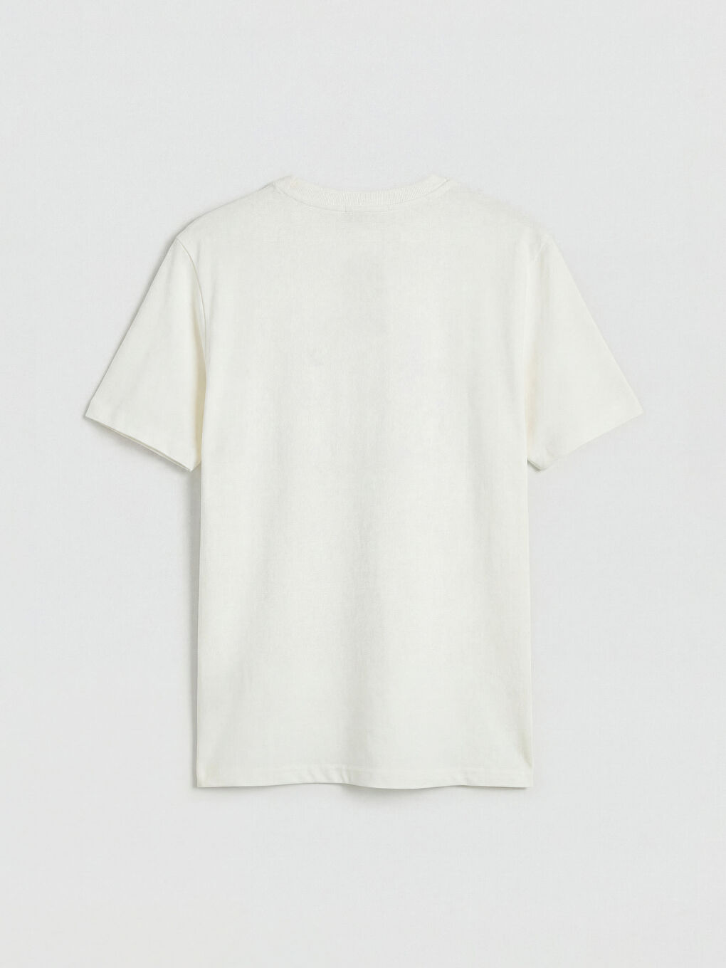 Crew Neck Printed Men's T-Shirt-5