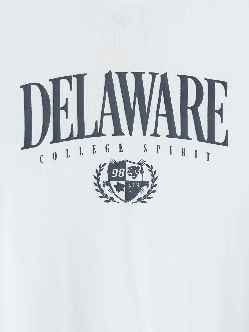 تي شيرت رجالي مطبوع بكول مدور-2