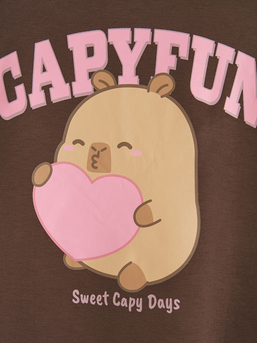 Kahverengi Capyfun Baskılı Kız Çocuk Tişört ve Eşofman Alt-3