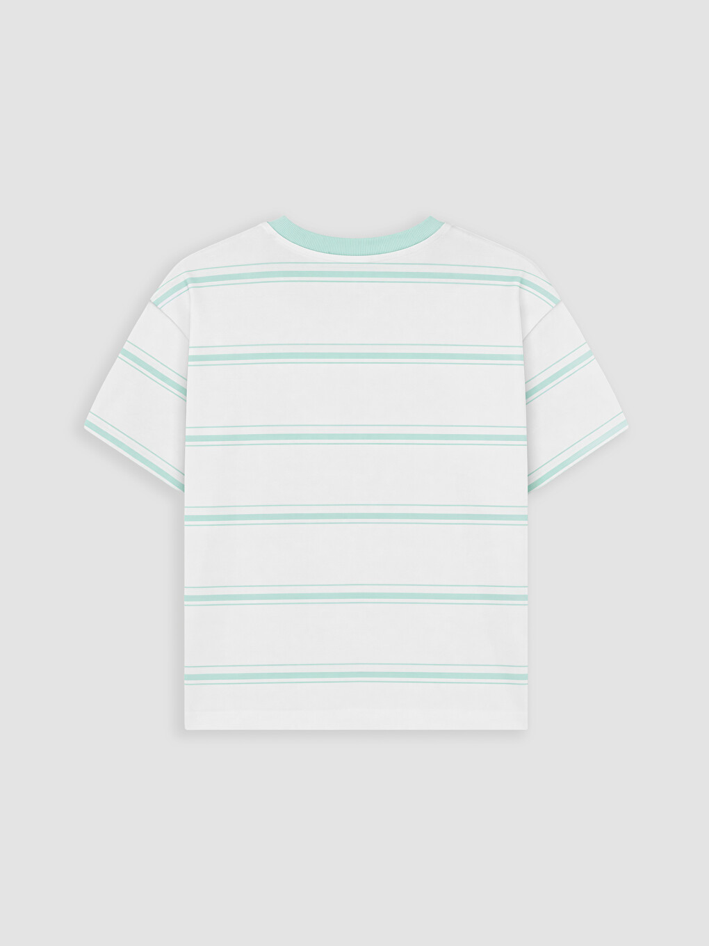 Crew Neck Printed Boys' T-Shirt-2