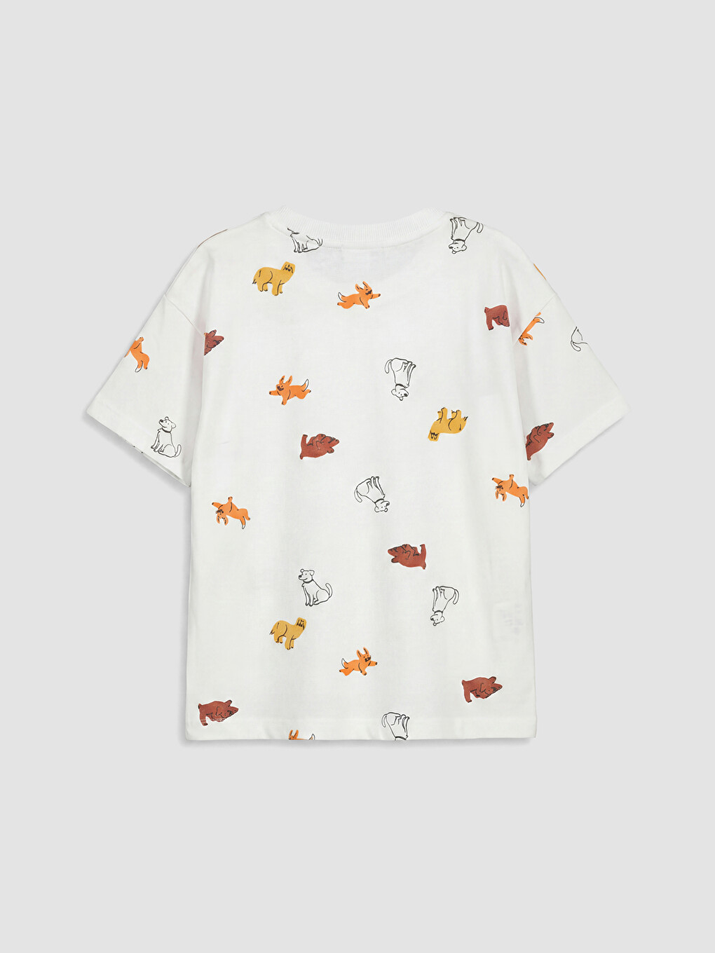 Boy White T-Shirt-2