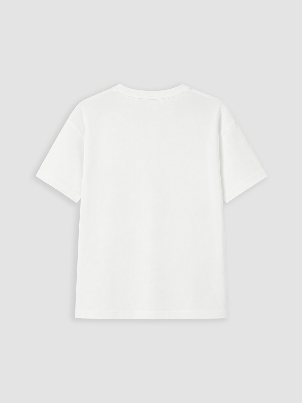 Crew Neck Printed Boys' T-Shirt-2
