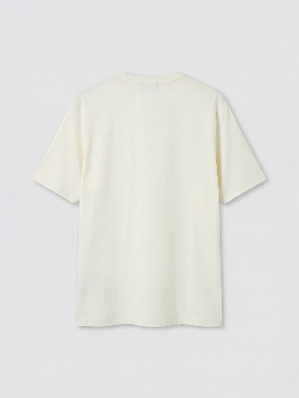 Ekru Regular Fit %100 Pamuk Erkek Tişört-1