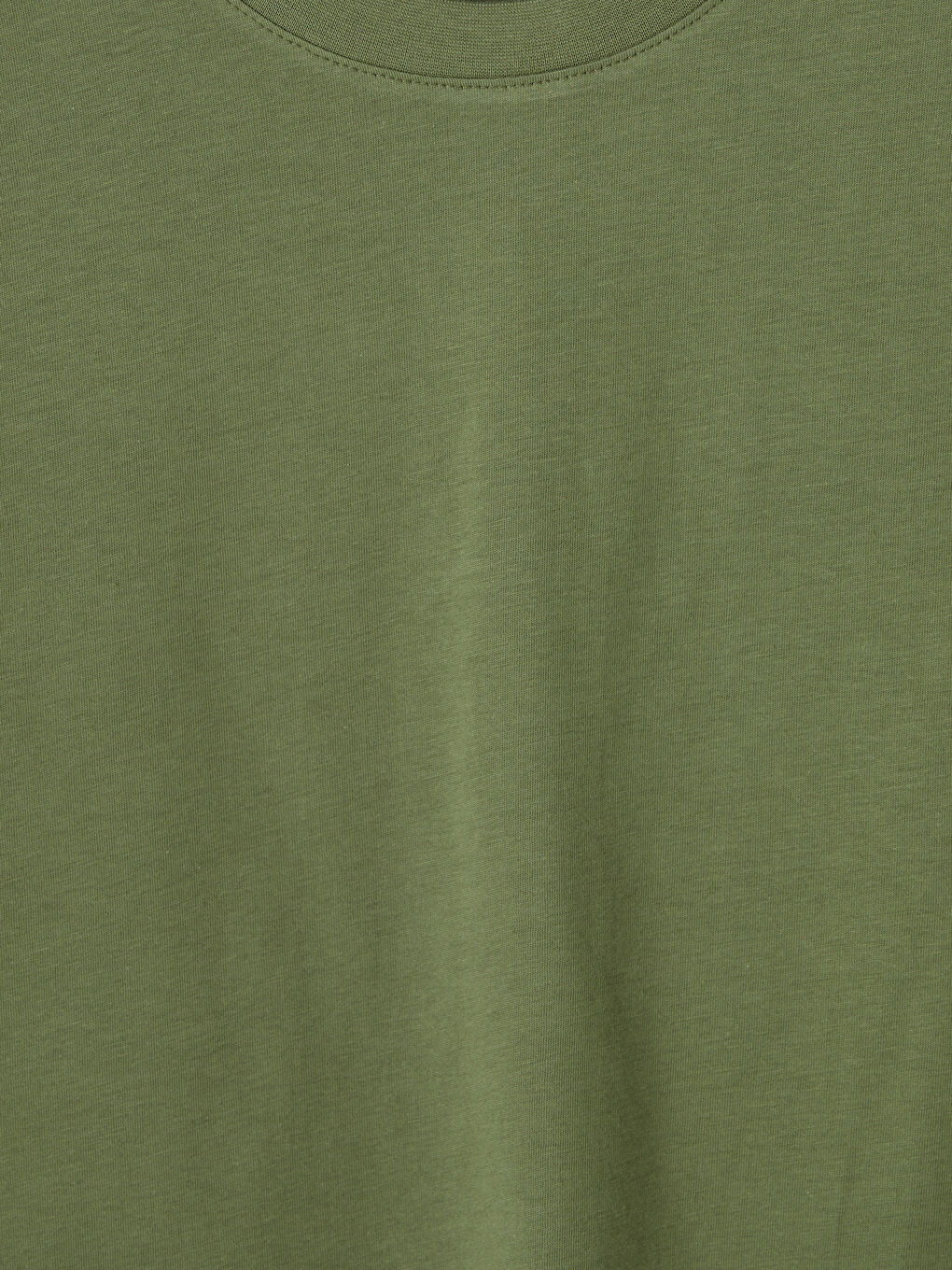 Haki Regular Fit %100 Pamuk Erkek Tişört-2