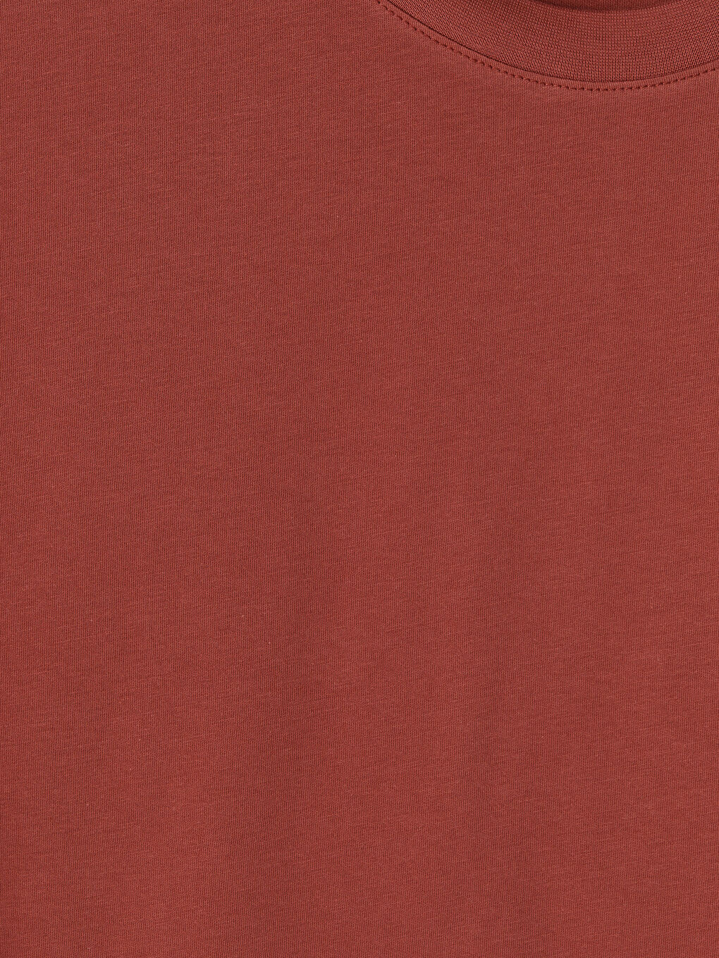 Kırmızı Regular Fit %100 Pamuk Erkek Tişört-2