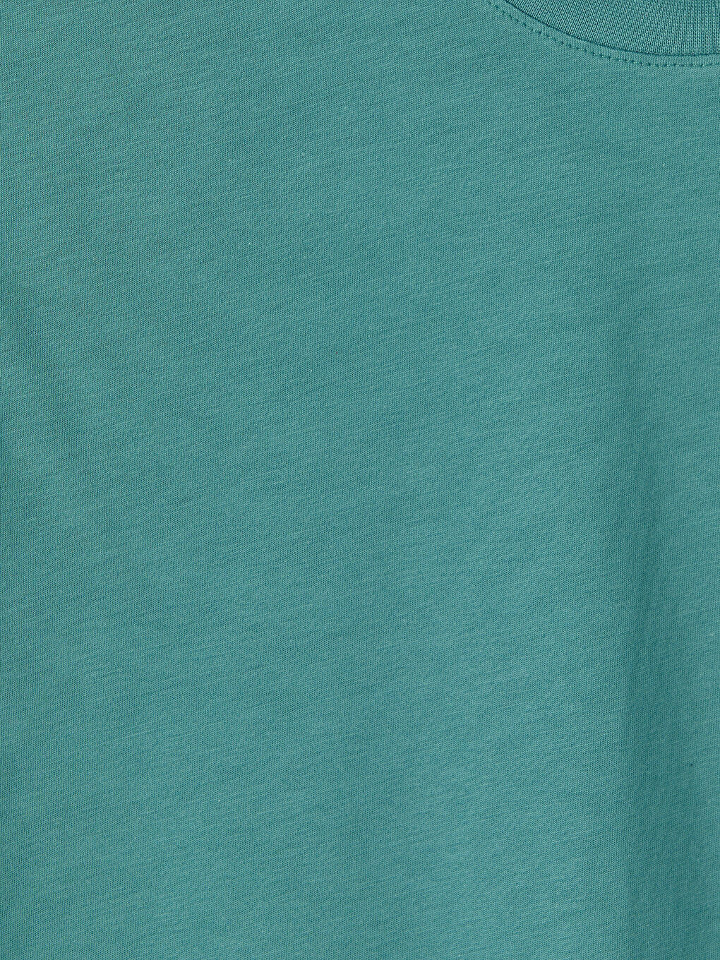 Petrol Regular Fit %100 Pamuk Erkek Tişört-2