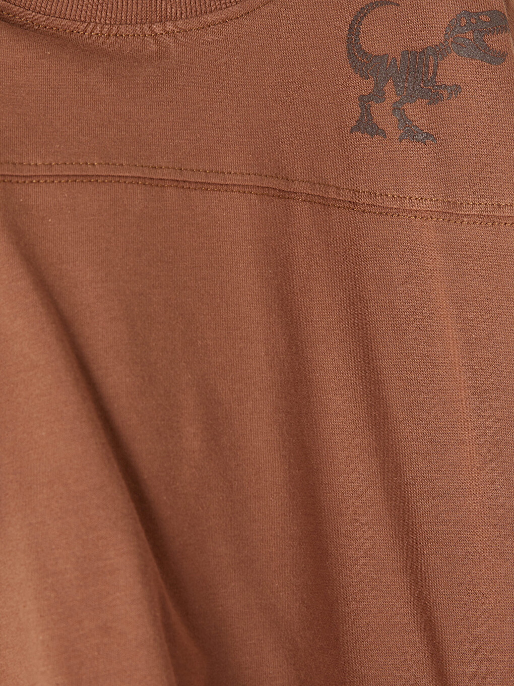 Boy Brown Set-2