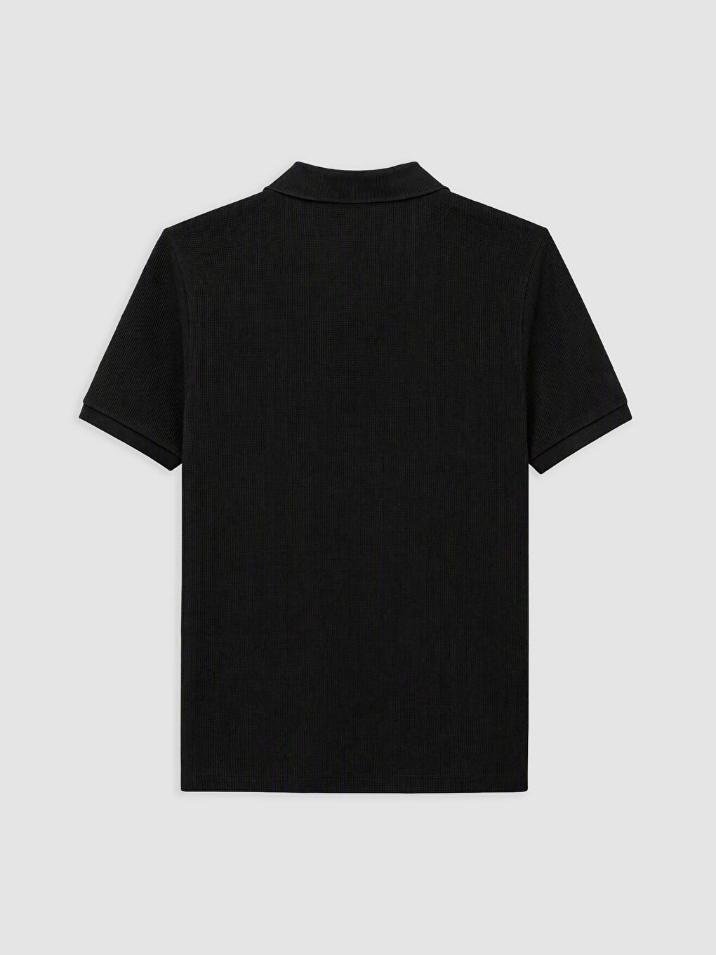 Mashkull E Zeze T-shirt