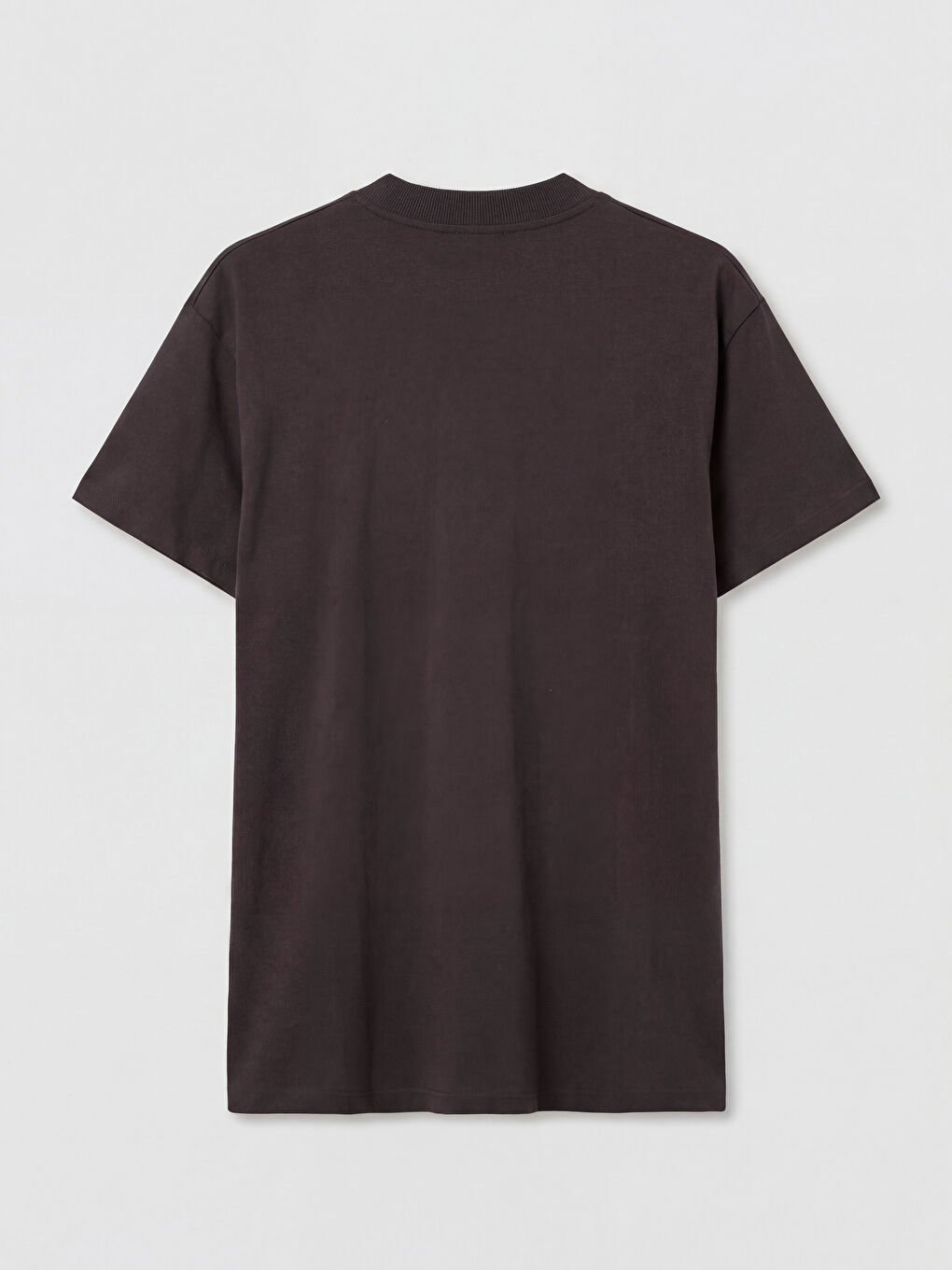 Kahverengi Winnie the Pooh Baskılı Kadın Tişört	-1