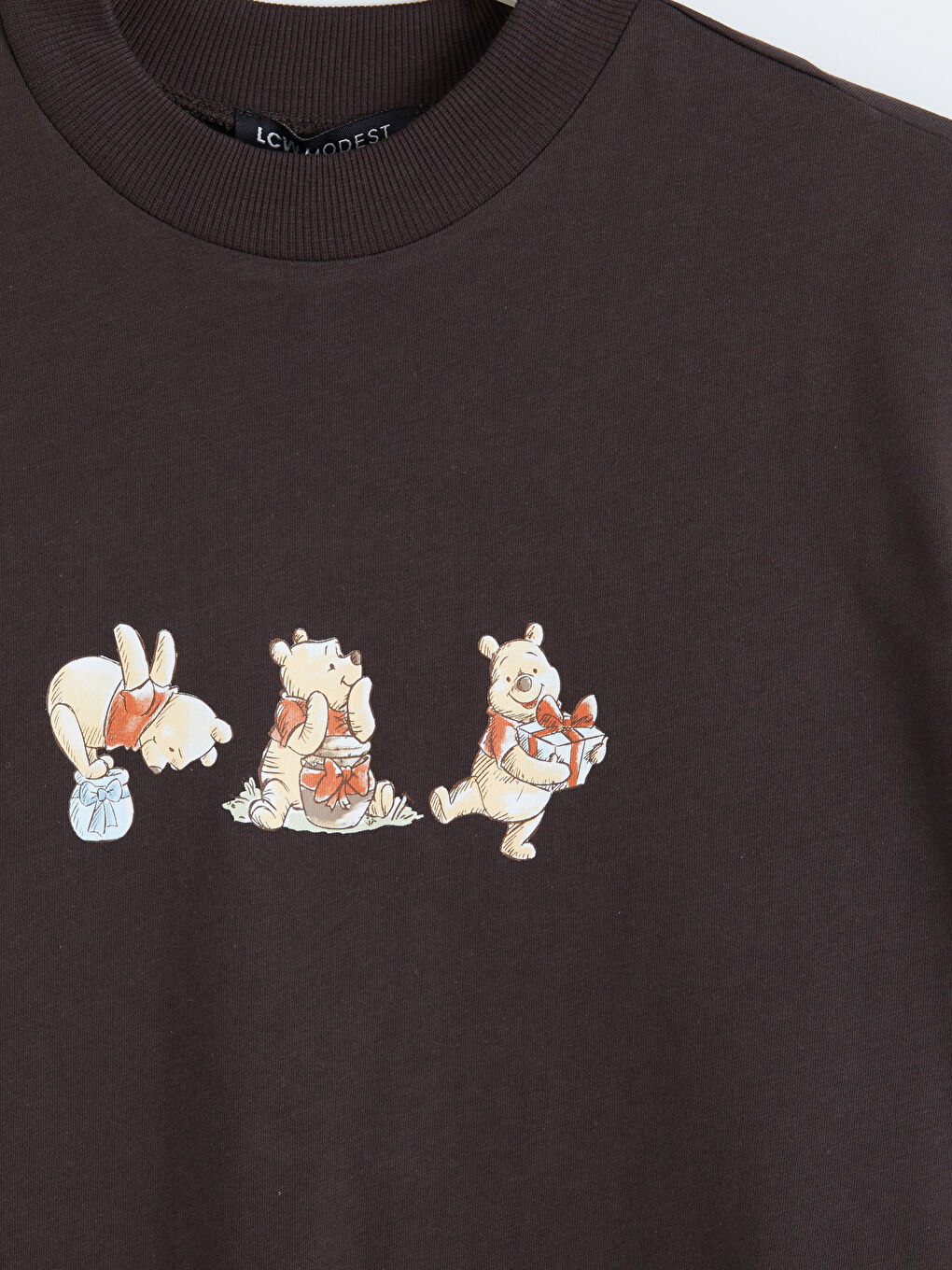 Kahverengi Winnie the Pooh Baskılı Kadın Tişört	-2