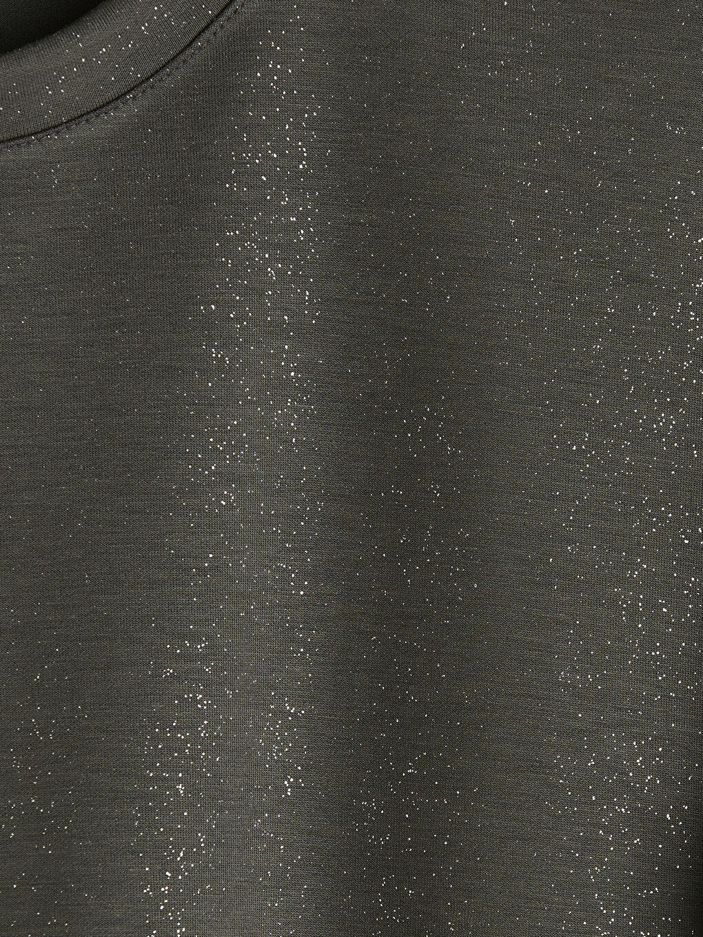 Antrasit Bisiklet Yaka Parlak Görünümlü Kadın Tişört-2