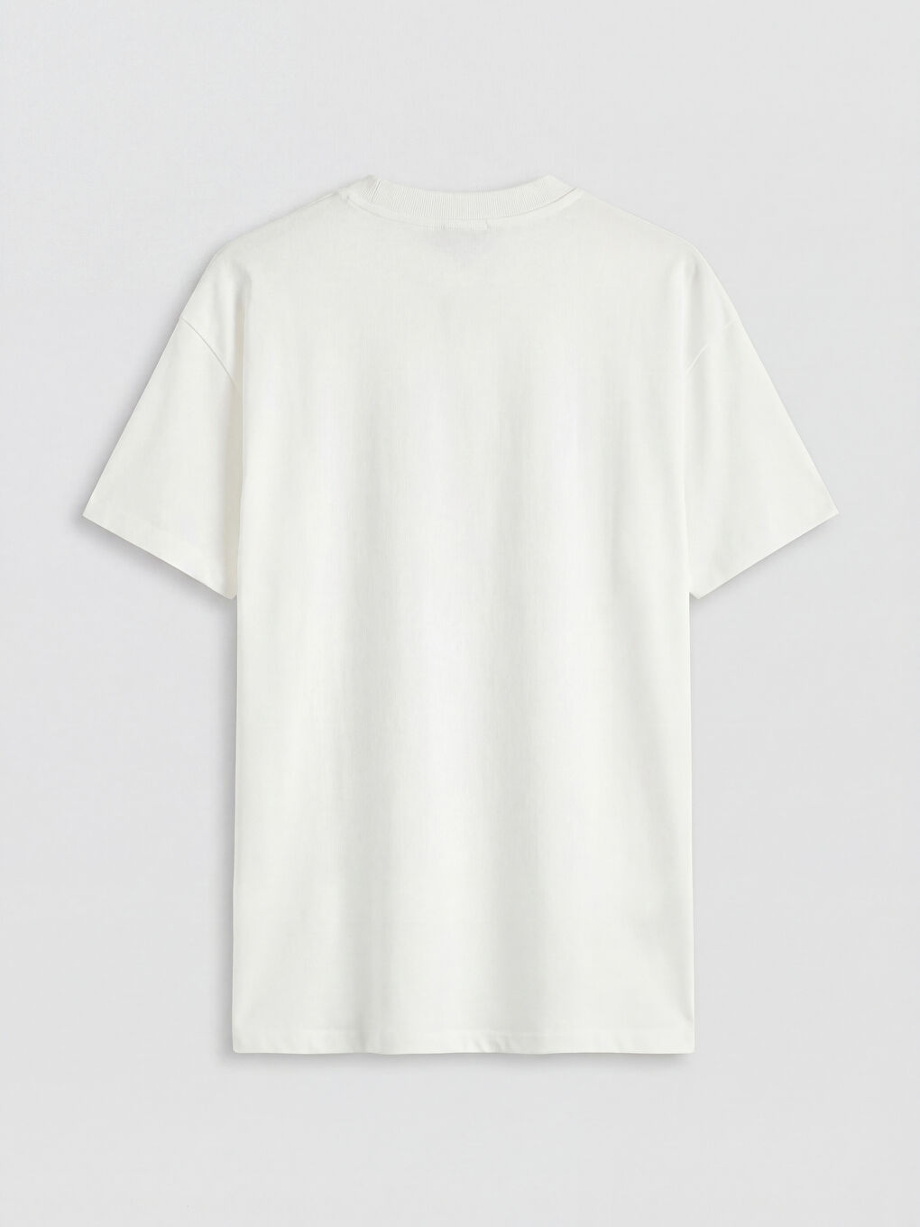 Ekru Bisiklet Yaka Dantel Nakışlı Kadın Tişört-1