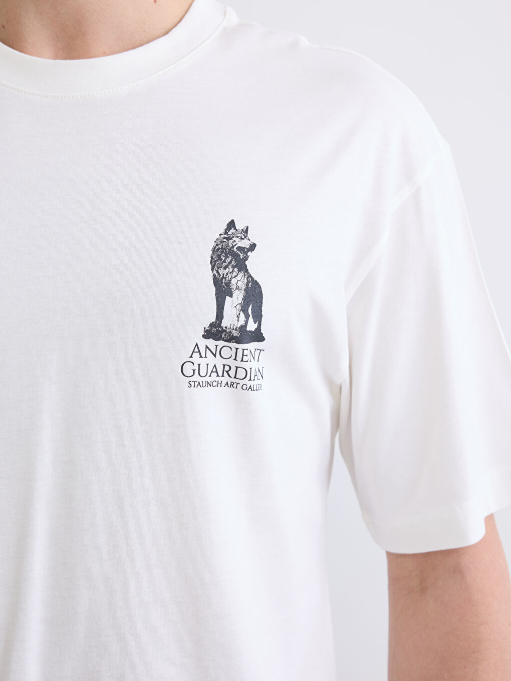 Ekru Bisiklet Yaka Baskılı Erkek Penye Tişört-2