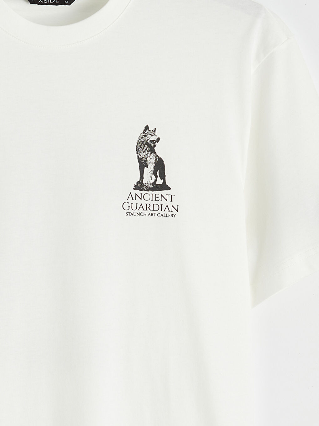 Ekru Bisiklet Yaka Baskılı Erkek Penye Tişört-6