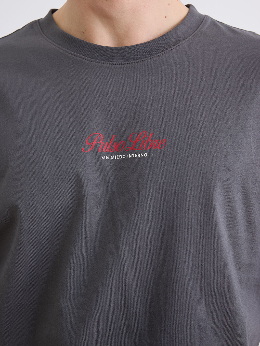 Antrasit Bisiklet Yaka Baskılı Penye Erkek Tişört-2