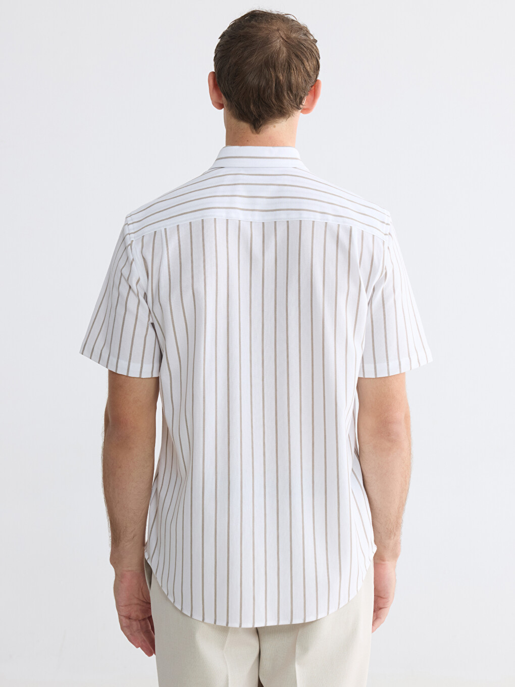 Regular Fit Striped Oxford Men's Shirt-4