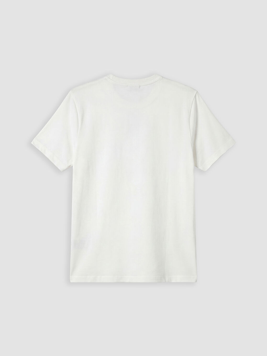 Crew Neck Standard Fit Jersey Men's T-Shirt-5