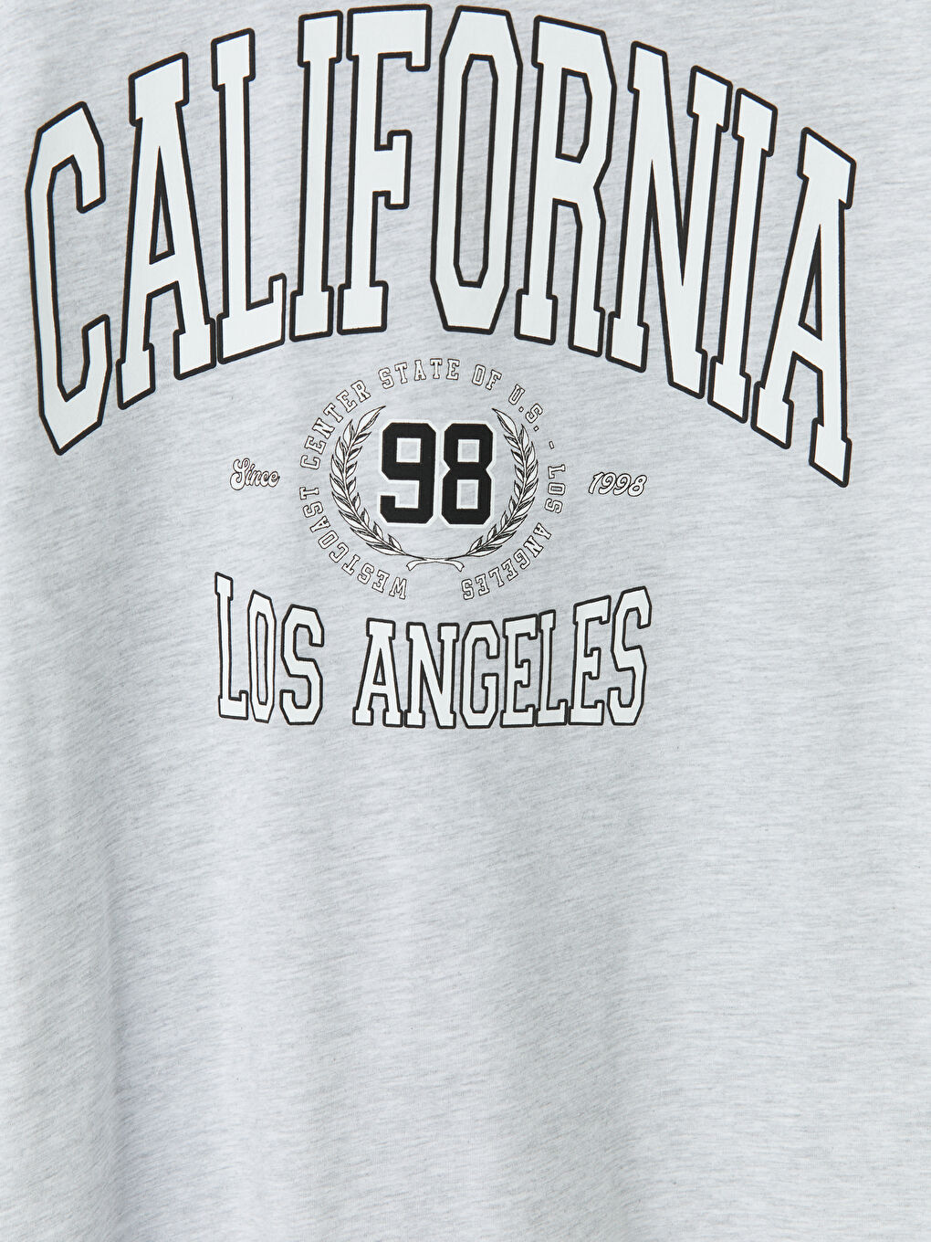 Gri Bisiklet Yaka California Baskılı Kadın Tişört-2